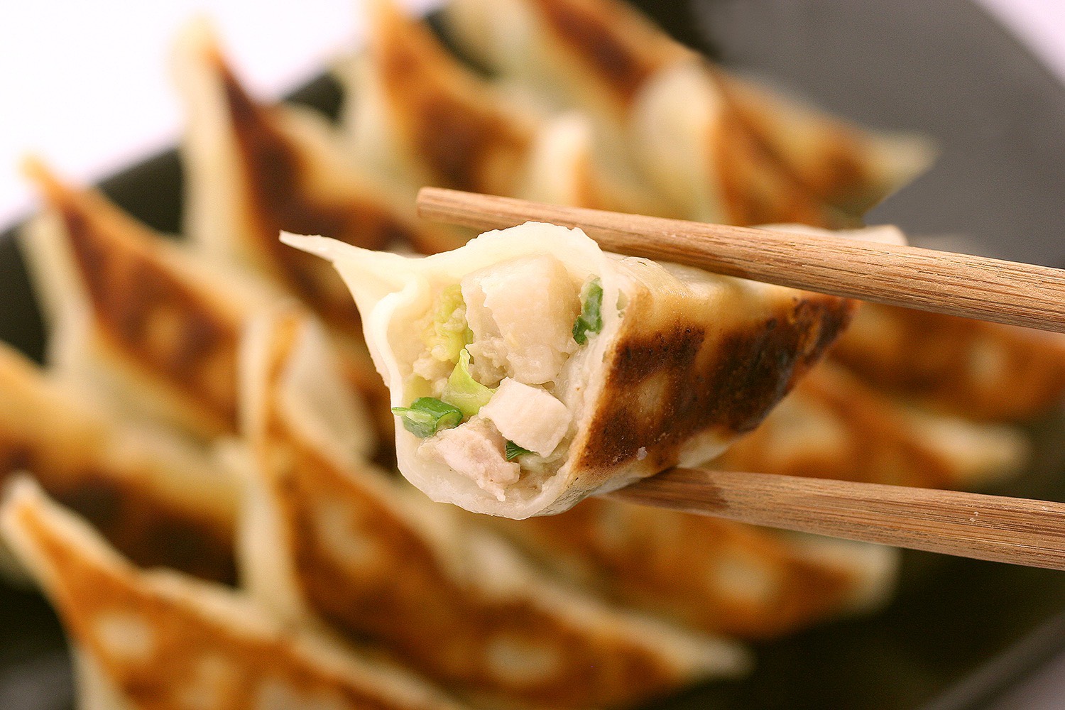 龍神家 茨城れんこん餃子