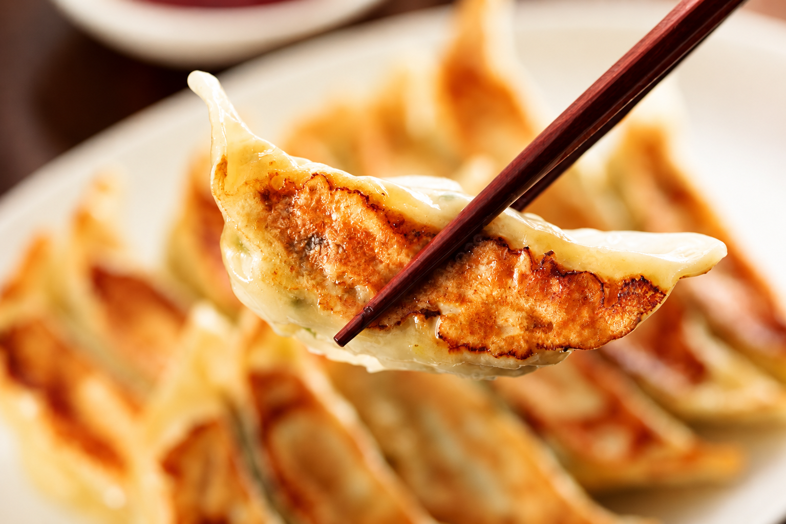 龍神家 仙台名物牛タン餃子